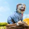Hooded Design Dog Raincoat Reflective Strip Pet Rain Jacket Four-legged Raincoat Spring Summer