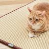 Clean Up Mat (Extra Large/Beige) Cat Toilet, Desertification Prevention Sand Mat, Footrest