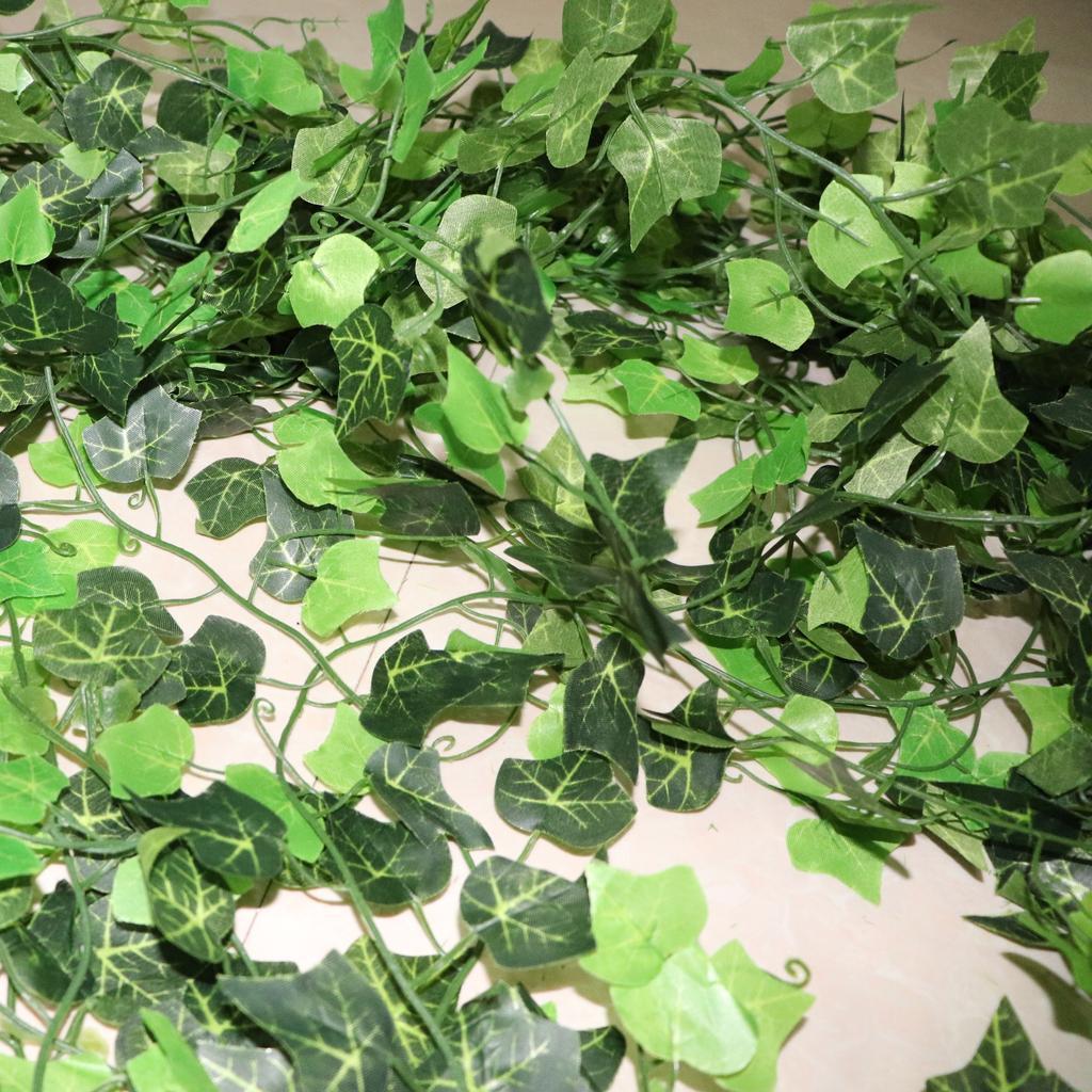 alte bonsai kaufen 8 Jahre alter Ficus retusa Bonsai  Zen-Strauch fr helle Innenrume  Arkki