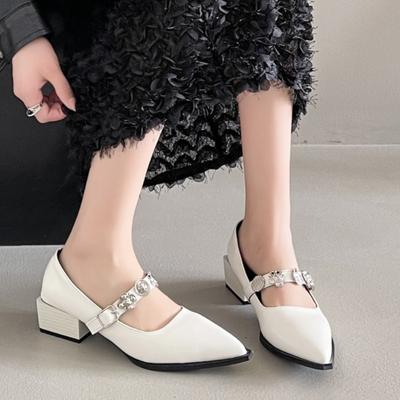 2025 New  French Pointed Toe Mary Jane Single Shoes Women's 2025 Fall New Shallow Mouth Block Heel Pump Shoes