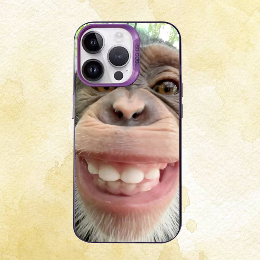 Funny Animals Case for iPhone 11 12 13 14 15 16 17 Pro Max XS X XR Cover