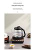 2025 Integrated Electric Kettle: Fully Automatic Hot Water Pump for Tea Brewing