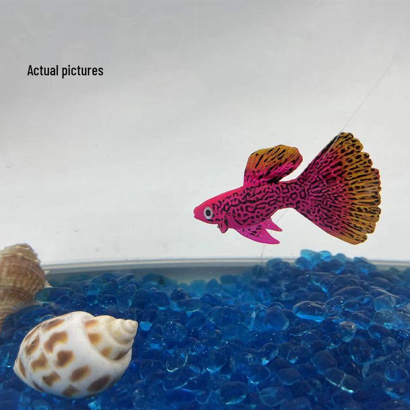 Fake Fish & Jellyfish Tank Ornaments: Clownfish, Betta & More for Aquarium Landscaping