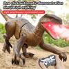 2.4G Simulation Swift And Violent Dragon Remote Control Toy light Spray Electric Children Model Toy Christmas Gift