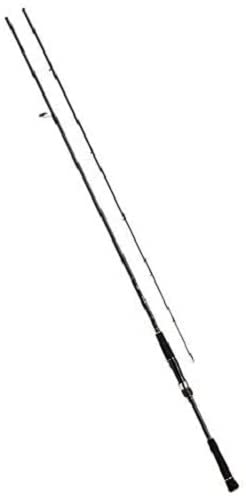 Daiwa 21 Seabass Hunter X 96ML-R
