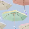 Manual Open Close Umbrellas UVs Protections Windproofs Fiberglass Ribs For Travel Outdoor