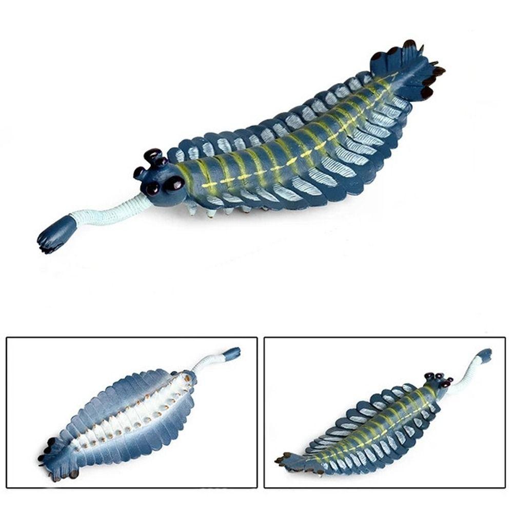 Simulation Ozeantier Figur Nautilus Trilobit Figur Meeresleben Figuren Kinderspielzeug