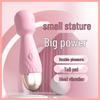 Comelemi Ni USB Rechargeable Strong Vibration Female Vibrator Adult Sex Toy.