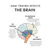 The Human Nervous System Human Brain Anatomy Brain Function Poster Print Wall Art Canvas Painting for Therapy Office Decor