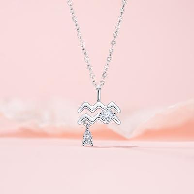 Original Design Twelve Constellation Series Aquarius Necklace Exquisite Fashion Female Personality Commuter Stainless Steel Clavicle Chain