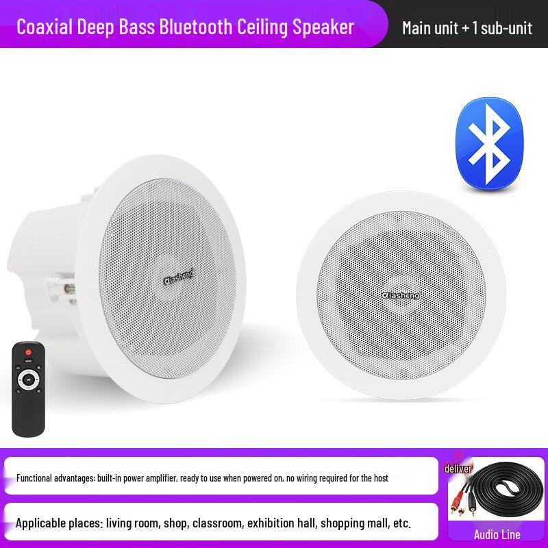 QIASHENG Commercial Bluetooth Ceiling Speaker System