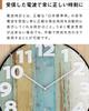 Wall Automatic Silent Interior Art Ottostyle.jp Dome-shaped Radio-controlled Clock, Reception, Analog, Movement, Decor, (Parrot)