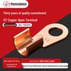 Phoenix Open Copper Wire Lug