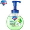 Safeguard Antibacterial Foaming Hand Wash