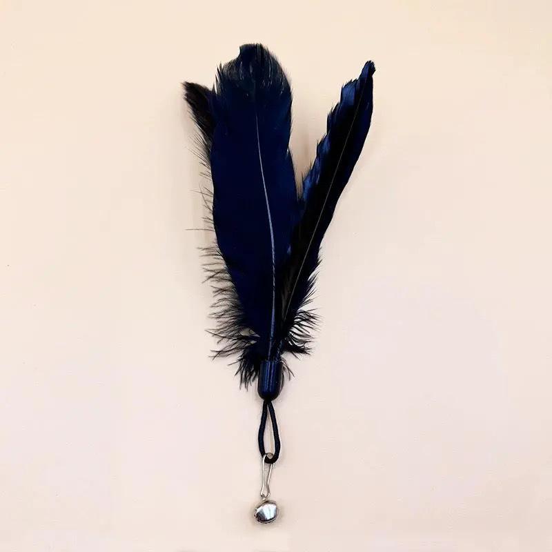 Retractable Cat Teaser Wand with Feather Head, 1.8m Long, Bite-Resistant Kitten Toy