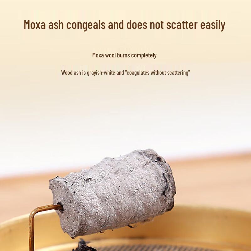 Hozheng Portable USB Smokeless Moxibustion Device