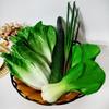 Vegetable and Fruit Model Set for Kitchen Decoration, Farmhouse Display, or Early Education Play