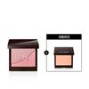 Blush Color Infusion Duo  + Mini Cheek Brush   Mini Stick Shadow 