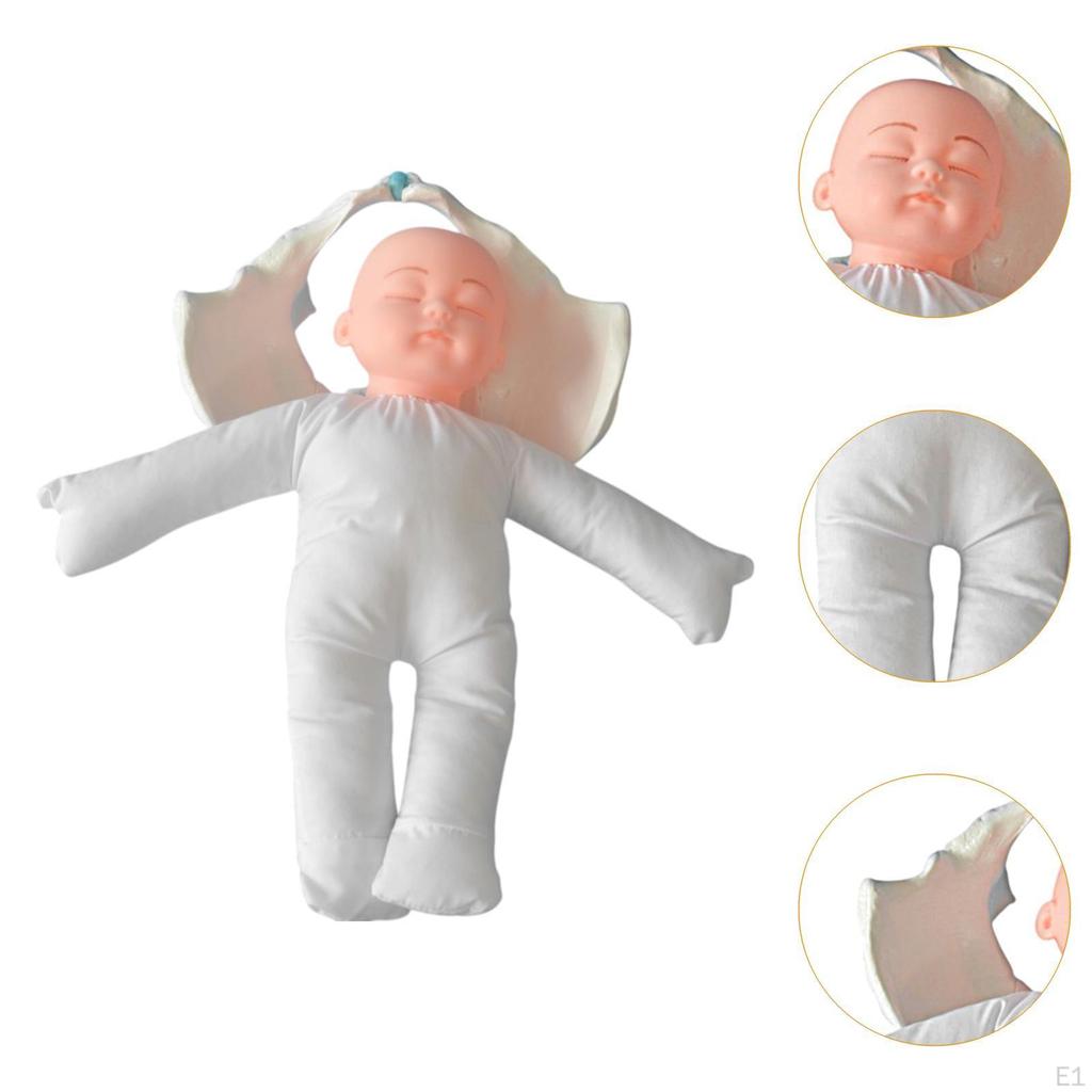 Childbirth Simulation Female Pelvis Model Practical Teaching Aids Life Size Educational Tool