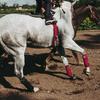 Horse Polo Wraps 2.5m Soft Fleece Polo Wraps Equestrian Leg Bandage Wrap Set of 4 Packs (Red - 2.5m)