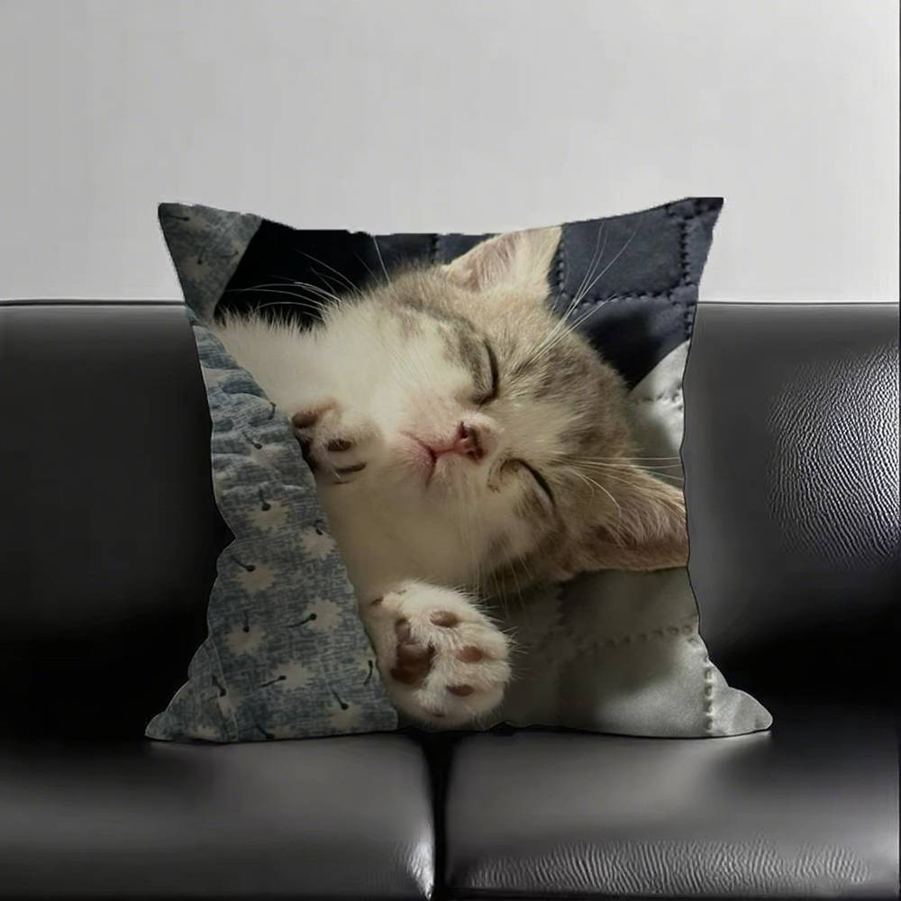 1pc Sleeping Kittens Pillow Case Square Bedroom Sofa Leisure Comfort Cushion Car Living Room Home Decoration