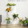 Flower Flower Planter Flower Ornamental Plant Flower Gardening Potted Flower Pot Stand Stand, Iron, White, Stylish, Indoor, Gardening, Shelf, Rack,