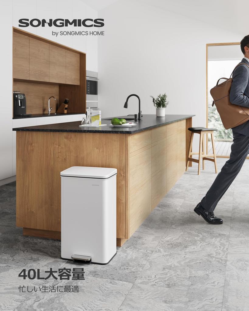 SONGMICS Trash Pedal with Large Stainless Steel Dust for Kitchen and Living Invisible Pet Mischief White LTB540W4002 Can, 40L, Type, Lid, Capacity,