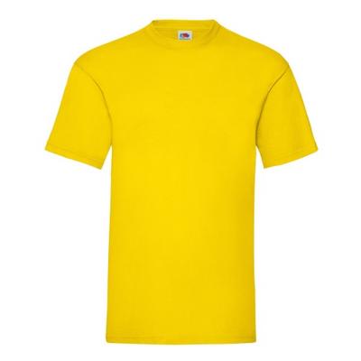 Ανδρικό T-Shirt ValueWeight