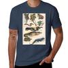 Vintage french biology illustration Quillet Reptiles TShirt Lightweight Casual Summer TShirt