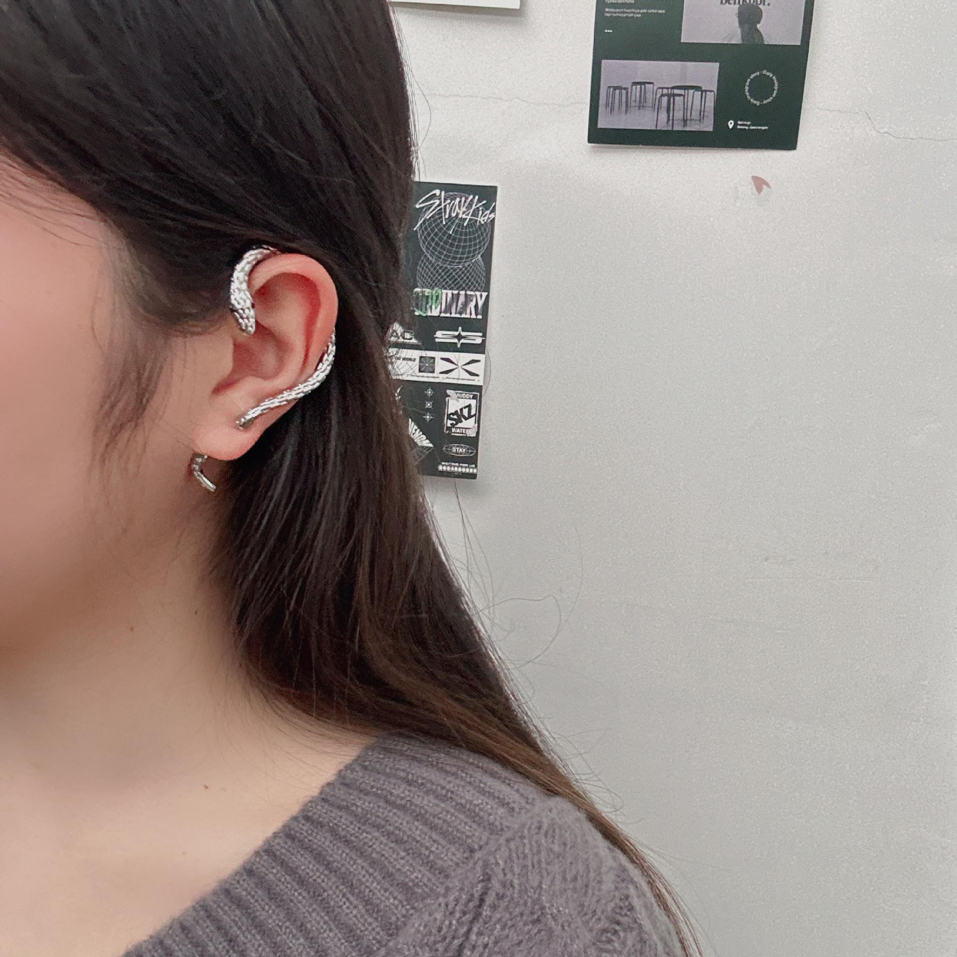

Exaggerated Personality Sliver Color Winding Snake-shaped Piercing Stud Earrings Ear Bone Clip for Women Punk Fashion Jewelry