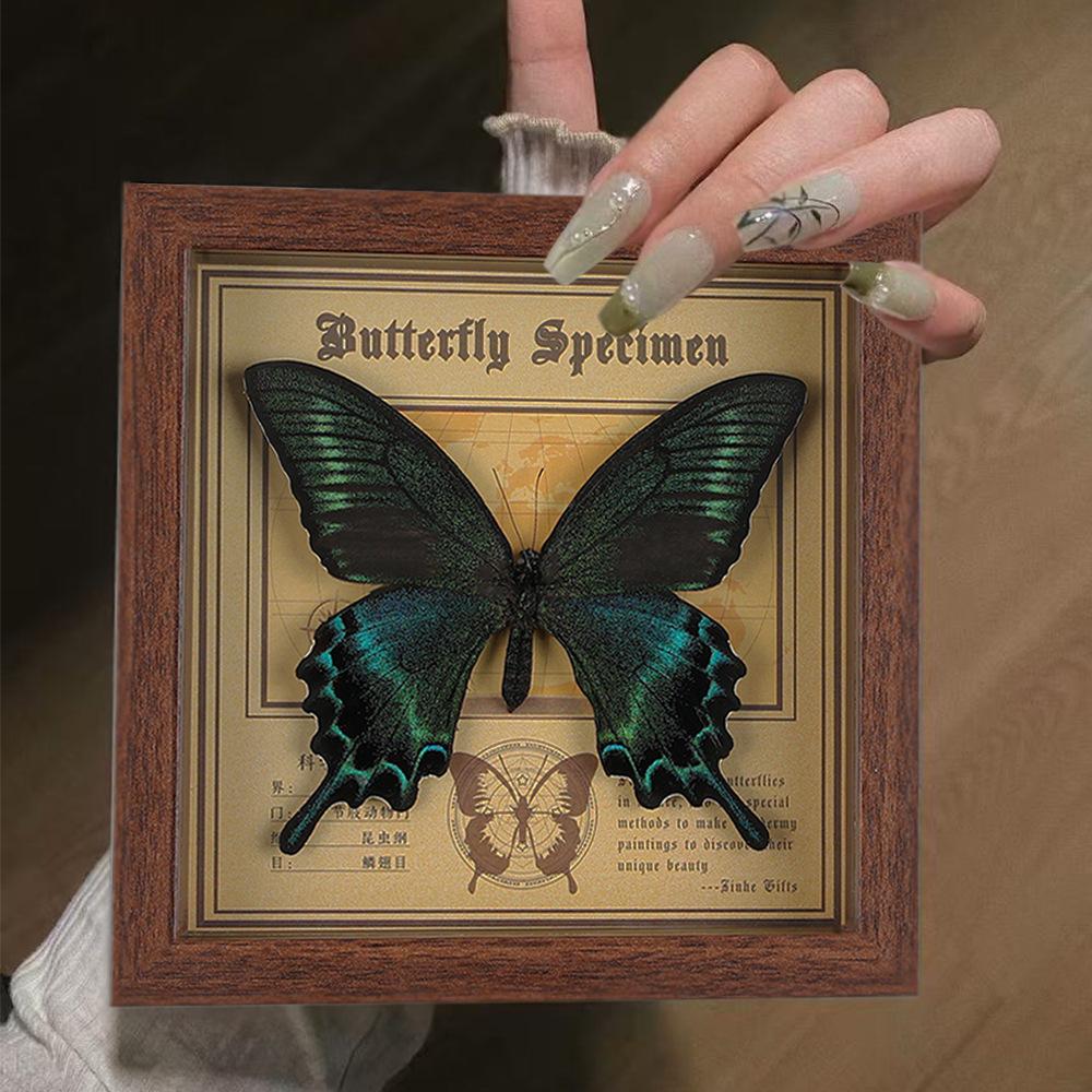 Real butterfly specimen photo frame, decorative painting, 3D ornament, handmade DIY, birthday gift, insect specimen