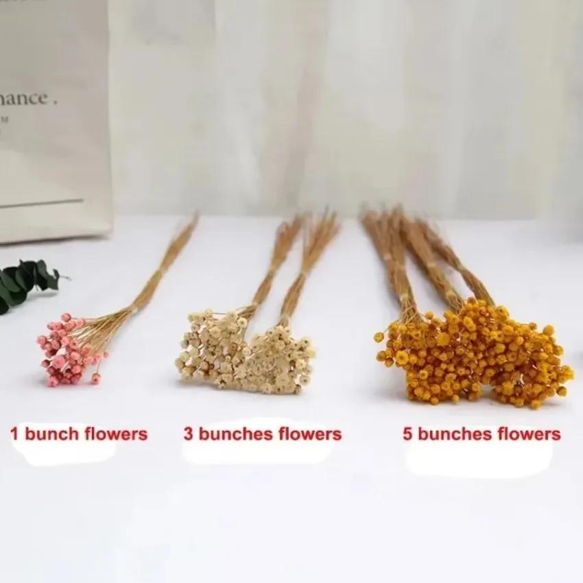 50 Bouquets Natural Real Small Dried Flowers Bouquets Brazilian Lucky Flowers Preserved Flowers Home Decoration Dried Flower