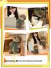Cute Otter Plush Toy - Super Soft Hugging Pillow Doll for Girls