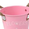 Chic Metal Planter for Contemporary Indoor And Outdoor Styling