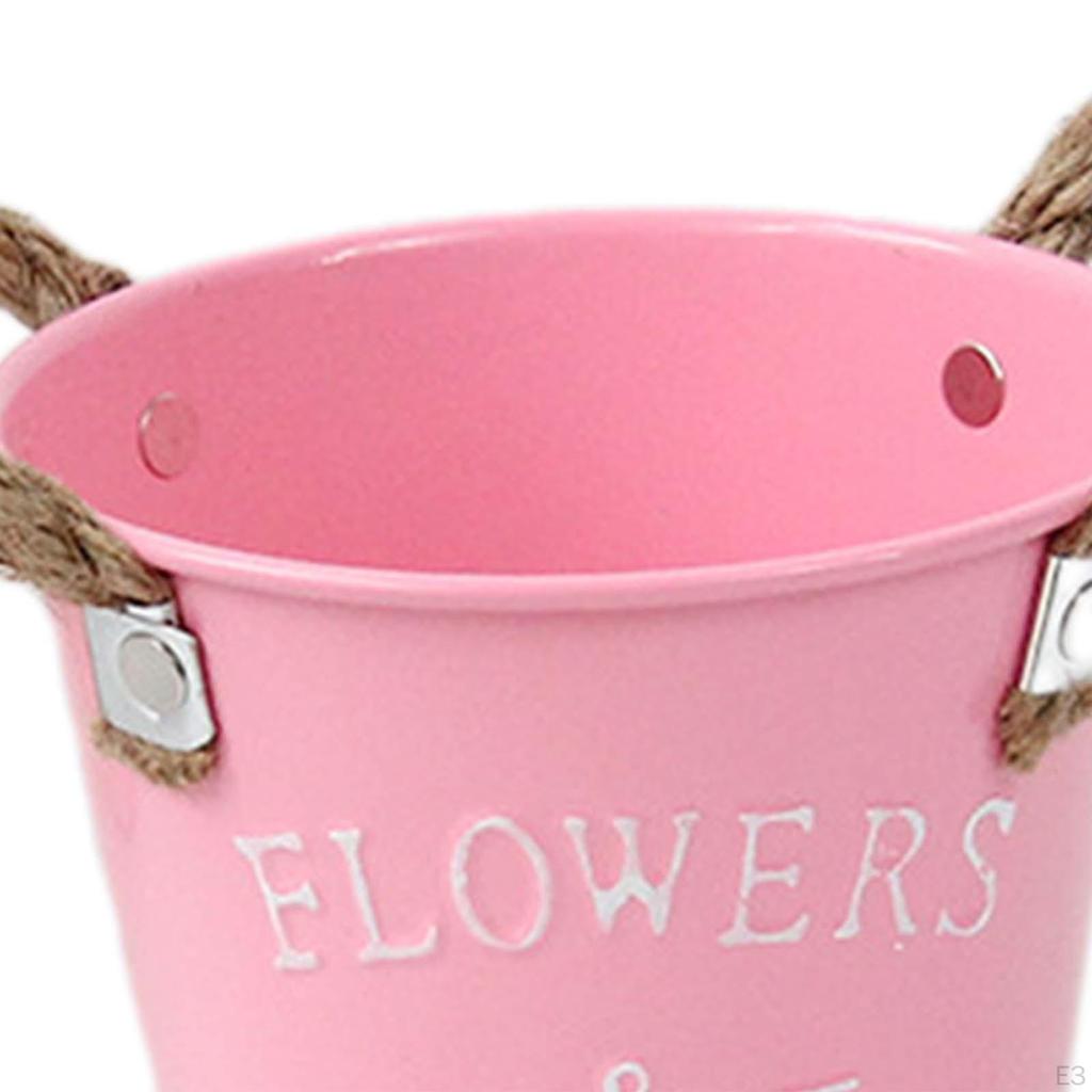 Chic Metal Planter for Contemporary Indoor And Outdoor Styling