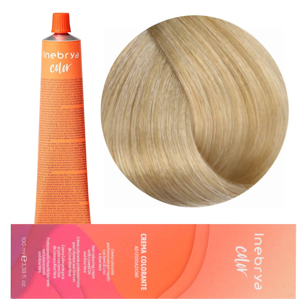 Inebrya Color 10 Paint 100
