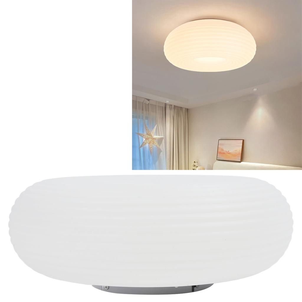 LED Ceiling Light PE 3000K 4500K 6000K Dimmable Round Flush Mount Modern Ceiling Light Fixture with 