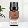 10ML Cinnamon Essential Oil Moisturizing Cinnamon Bark Single Massage Oil for Yoga Room