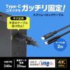Sanwa Supply USB 20Gbps Type-C Cable (Single Screw Lock, 240W, 2m) KU-20GCCPESSL20