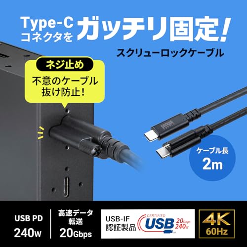 Sanwa Supply USB 20Gbps Type-C Cable (Single Screw Lock, 240W, 2m) KU-20GCCPESSL20