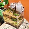 Mini Acrylic Aquarium Transparent Fish Keeper Fishbowl Portable Desktop Fish Tank Betta Tropical Fish Quiet Pump Filter Cotton