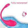 Wireless Bluetooth APP Control Vibratiors Wear Vibrating Stimulator Egg G Spot Dildo Vagina Massager For Women Adults Panties