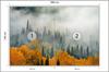 Photomural Fog Over Autumn Forest Non-Woven 208x146