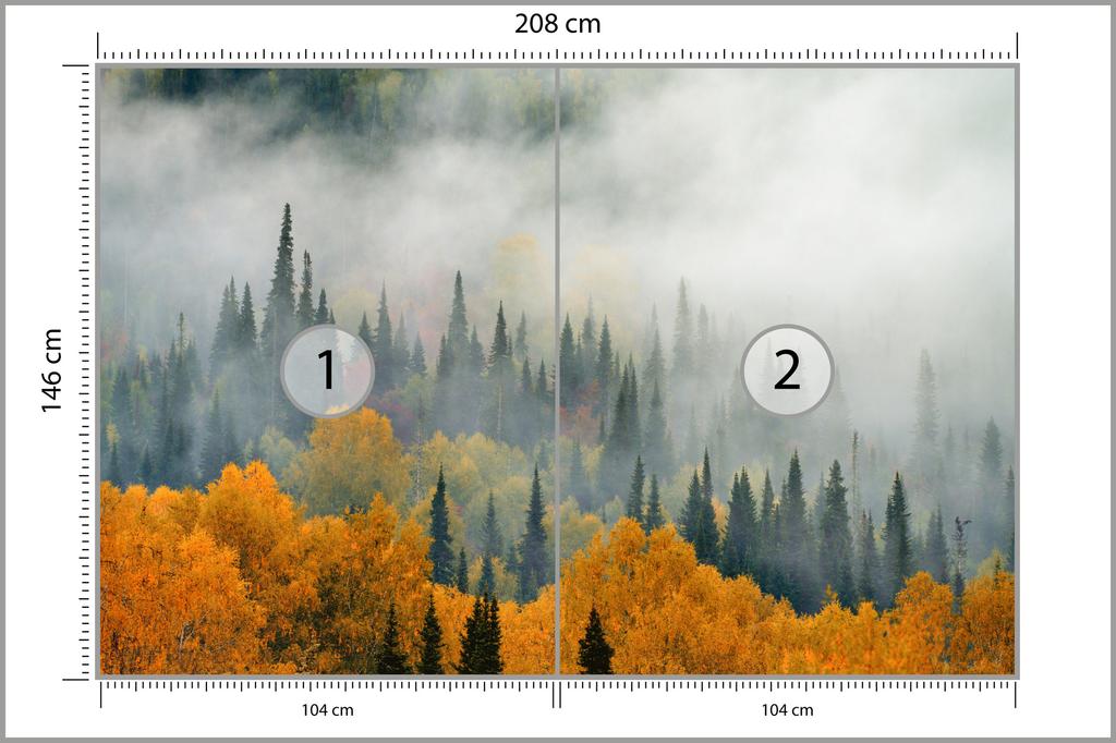 Photomural Fog Over Autumn Forest Non-Woven 208x146