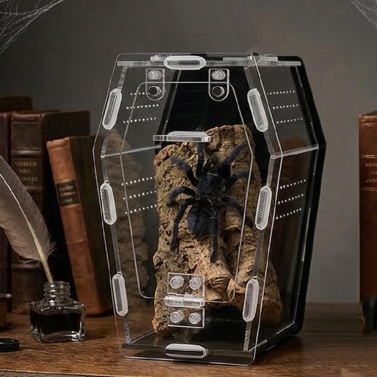 Acrylic Miniature Pet Terrarium For Jumping Spiders Hermits Mantis Practical Jumping Spiders Enclosure