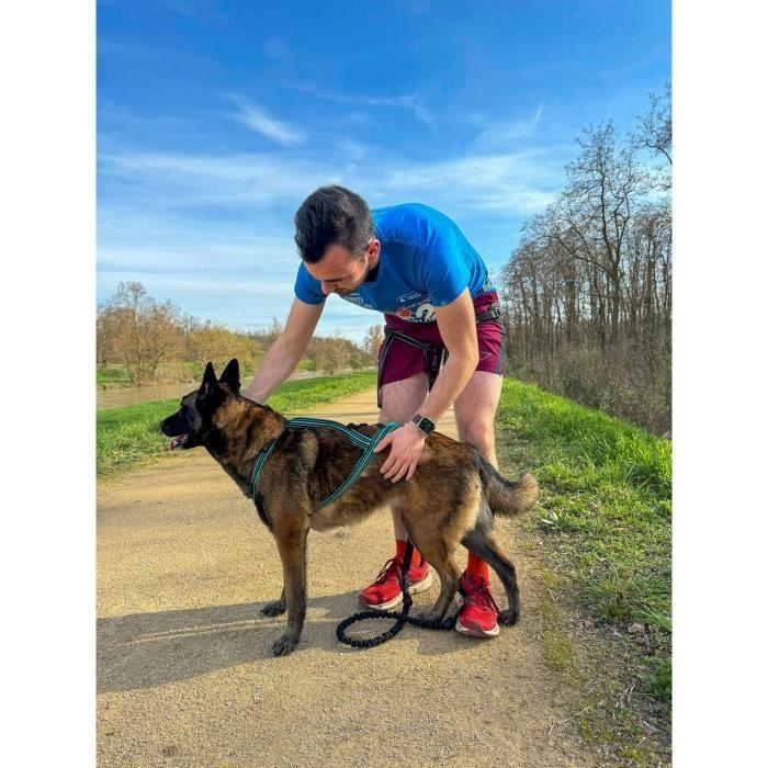 Harnais De Traction Pour Chien - OLYMPIA - XXS - Type X-back - Bleu