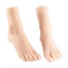 Size 36 Female Foot Replicas TPE Construction Foot Mannequin Foot Anatomy Training Tool Suitable for Shoe Marketing