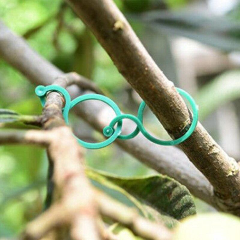 Plant Twist Clip, Lace, Garden Plant Support Clip, Vegetable, Tomato Vine Flower, Clip Plant Lock, For Fixing Plants /50 Pieces KTY