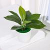Artificial Potted Plants Small Simulated Green Plants for Home Decor, Office Desk, Indoor Landscape, Creative Fake Leaf Decor