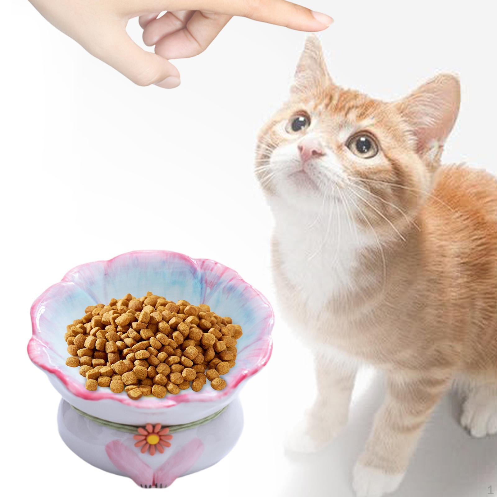 Миска еды для кошки Кошки И Миска Воды Защита Дружелюбные Усы Питомцы